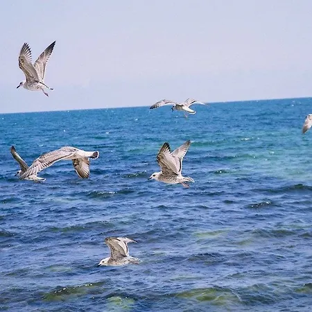 Sea View * Sveti Vlas